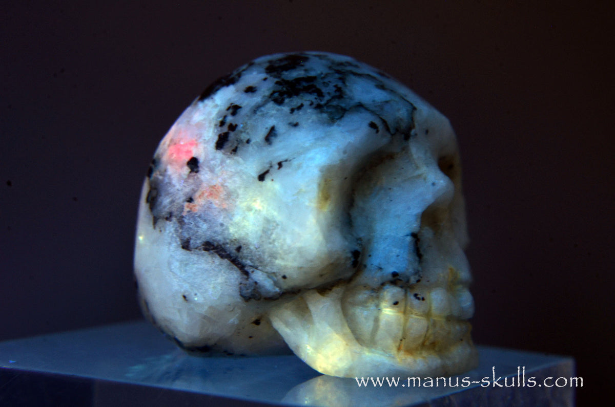 Rare TUGTUPITE Miniature Skully