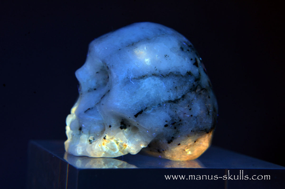 Rare TUGTUPITE Miniature Skully