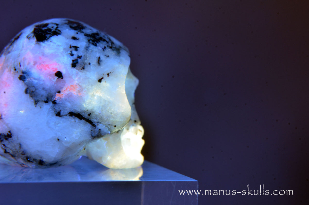 Rare TUGTUPITE Miniature Skully