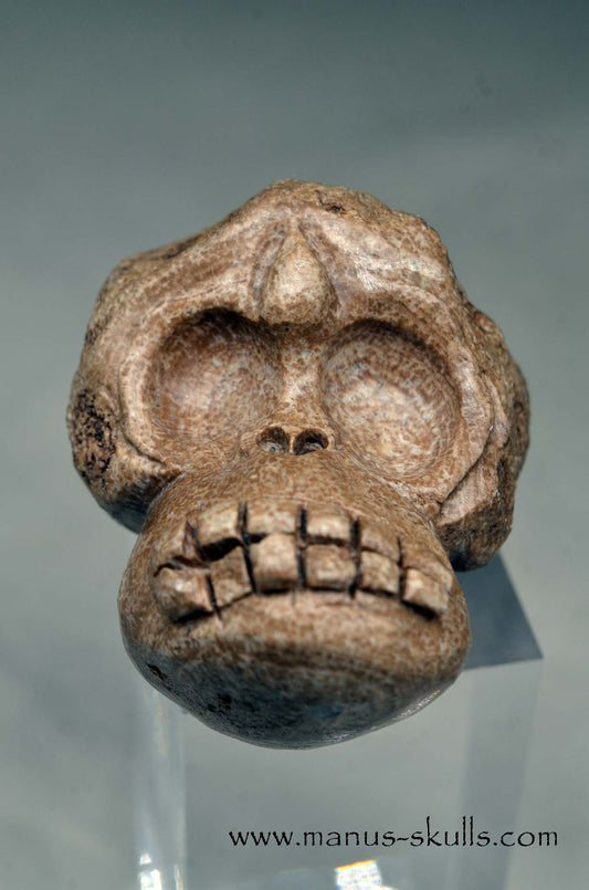 Evolian Manus SKULL