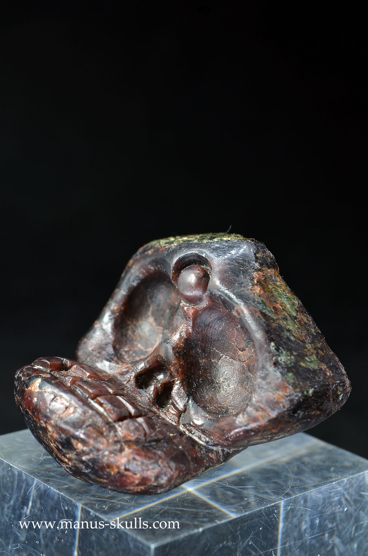 Garnet Evolian #01