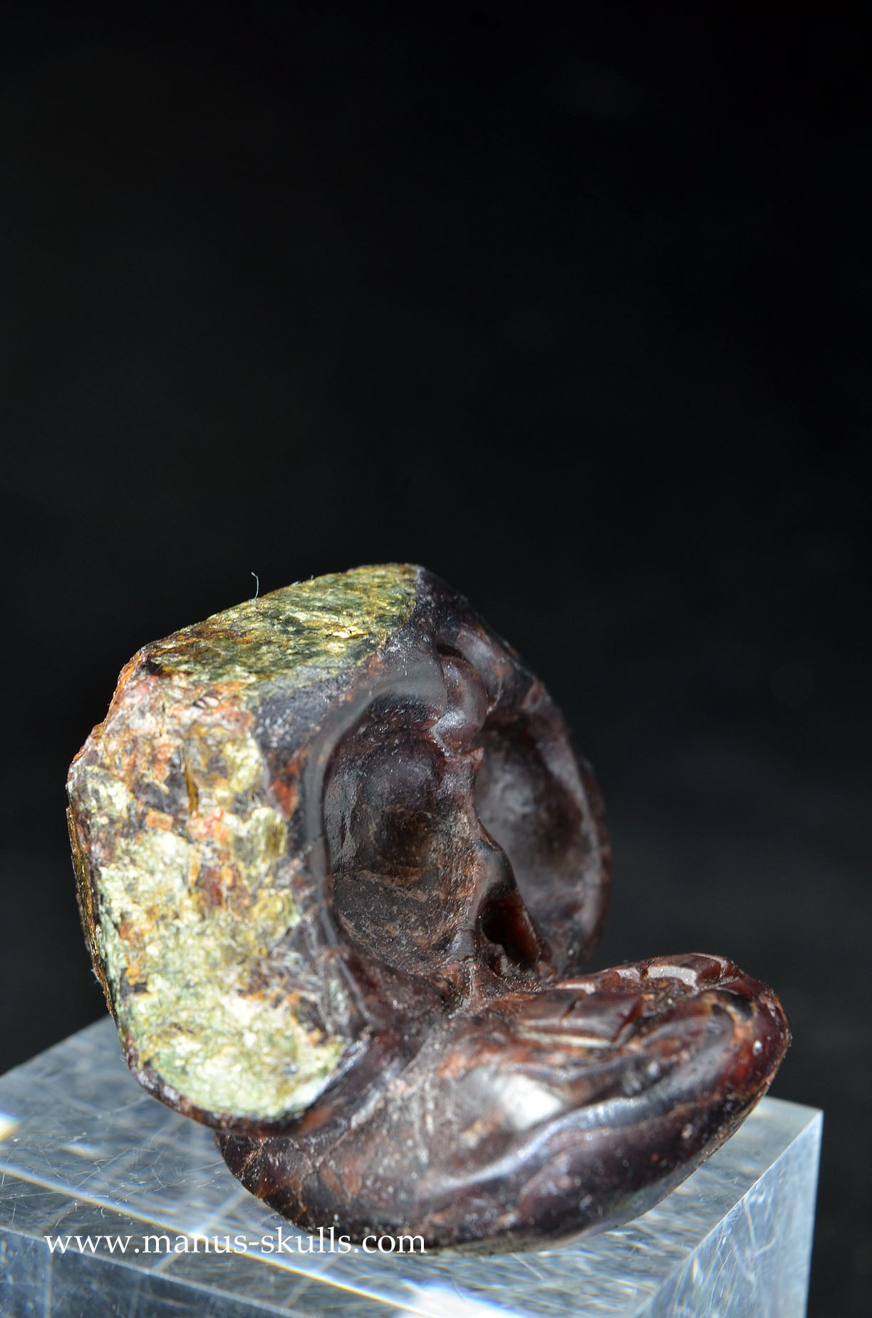 Garnet Evolian #01