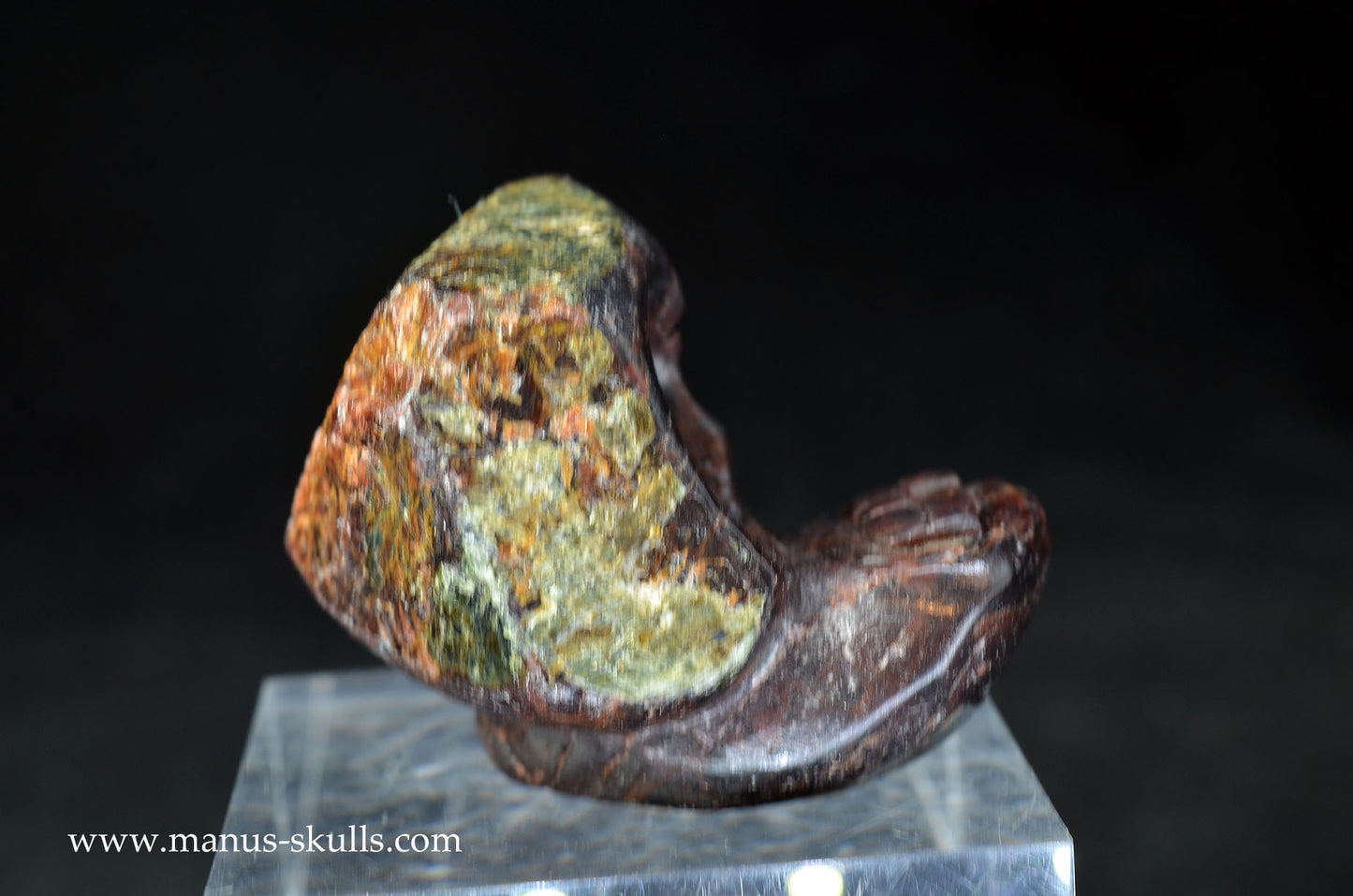 Garnet Evolian #01