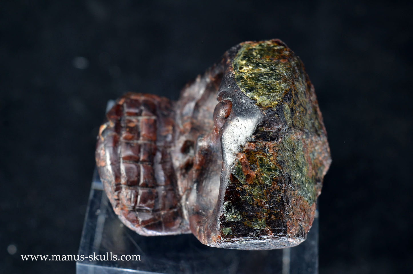 Garnet Evolian #01