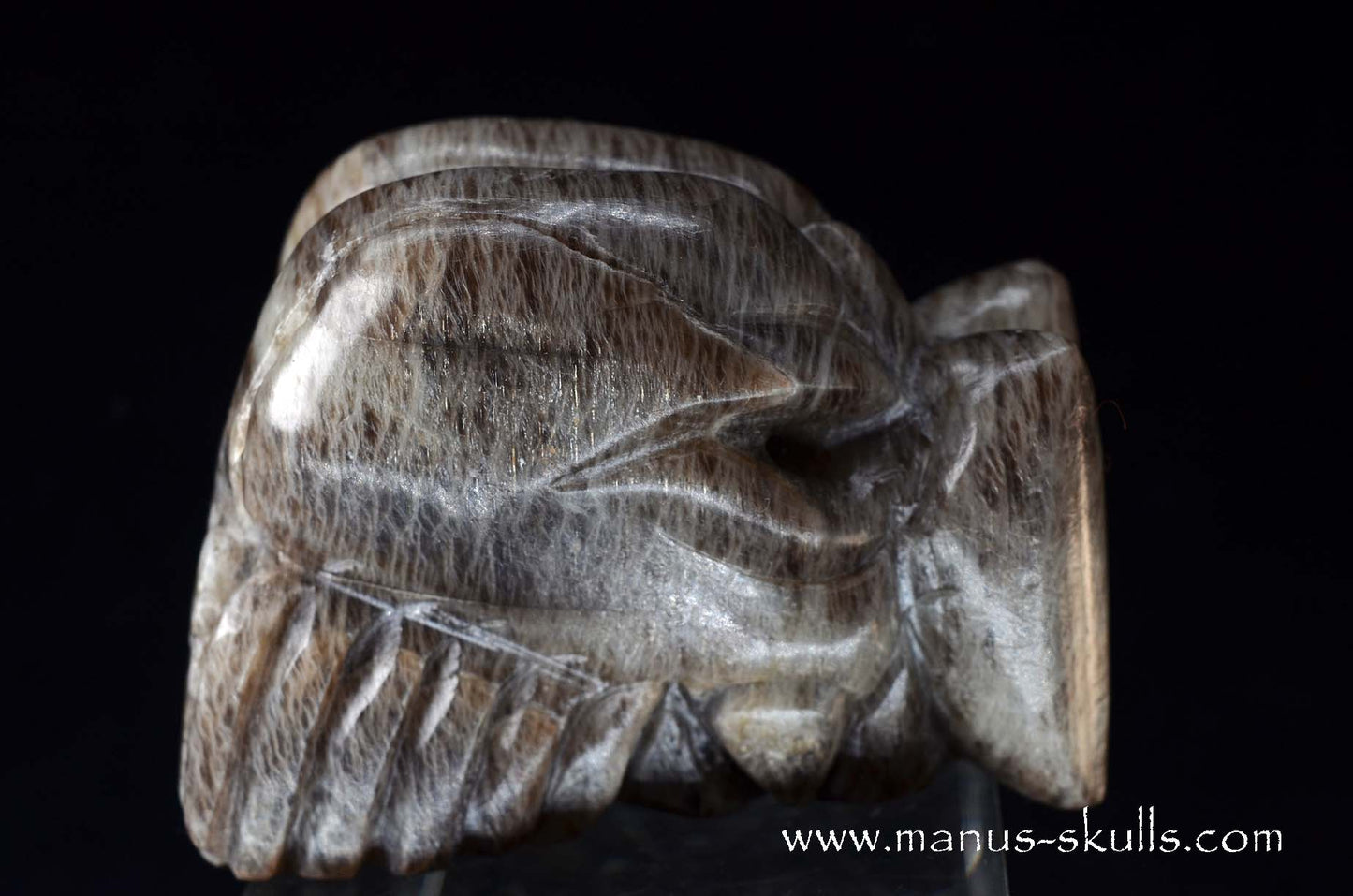 Black Greenland Moonstone ~ Seal Stone Dragon