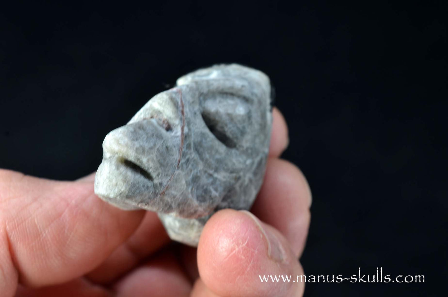 Apache Tears Obsidian on Matrix Skull #2