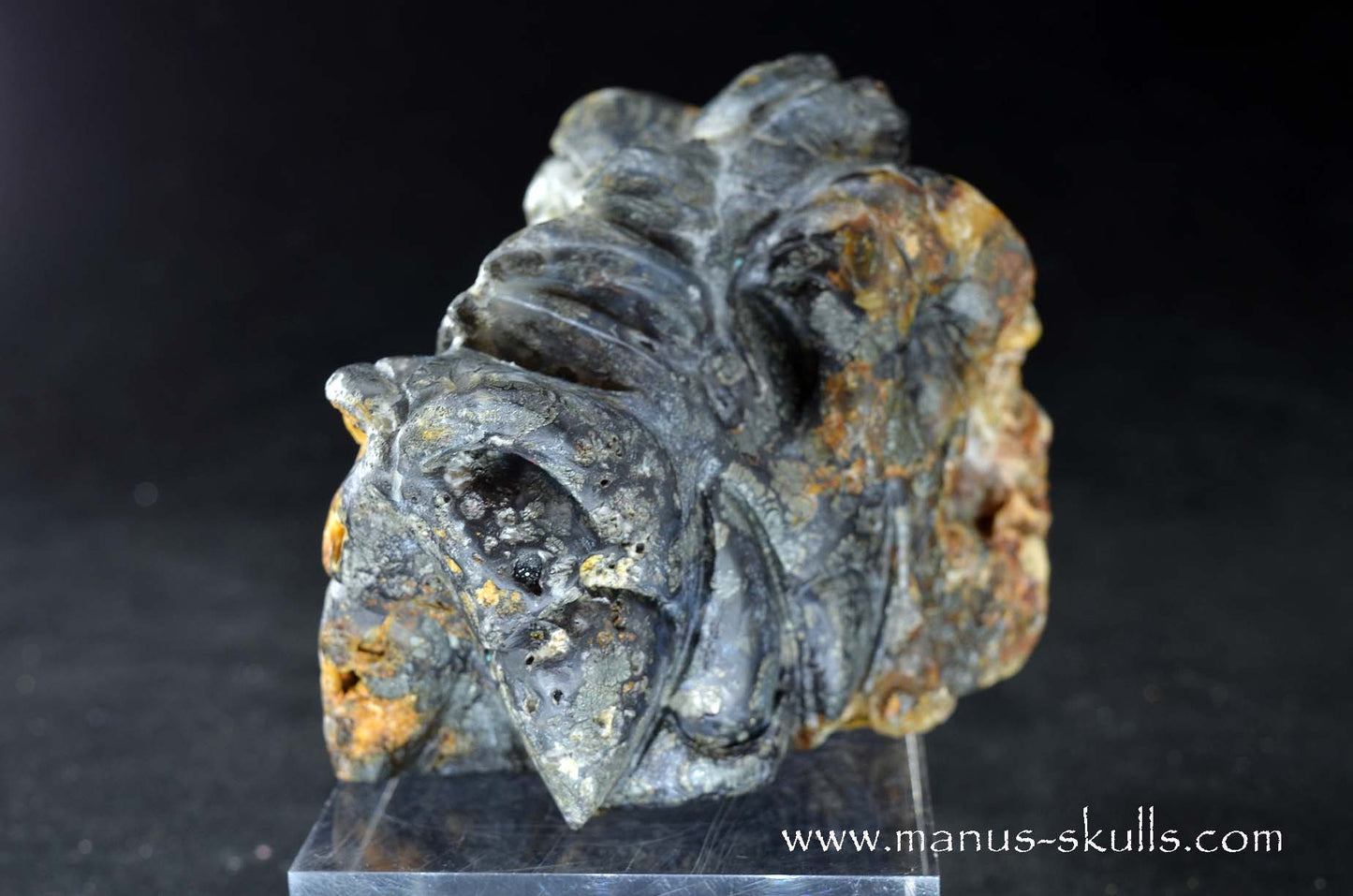 Rare MARCASITE ~ Pyrite Dragon