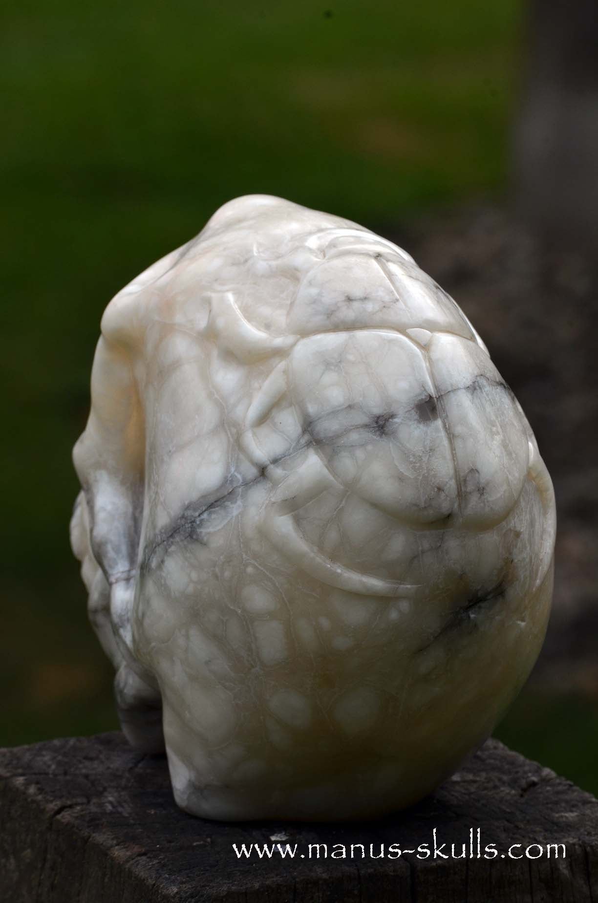 Alabaster Skull with carved Scarab Beetle ....