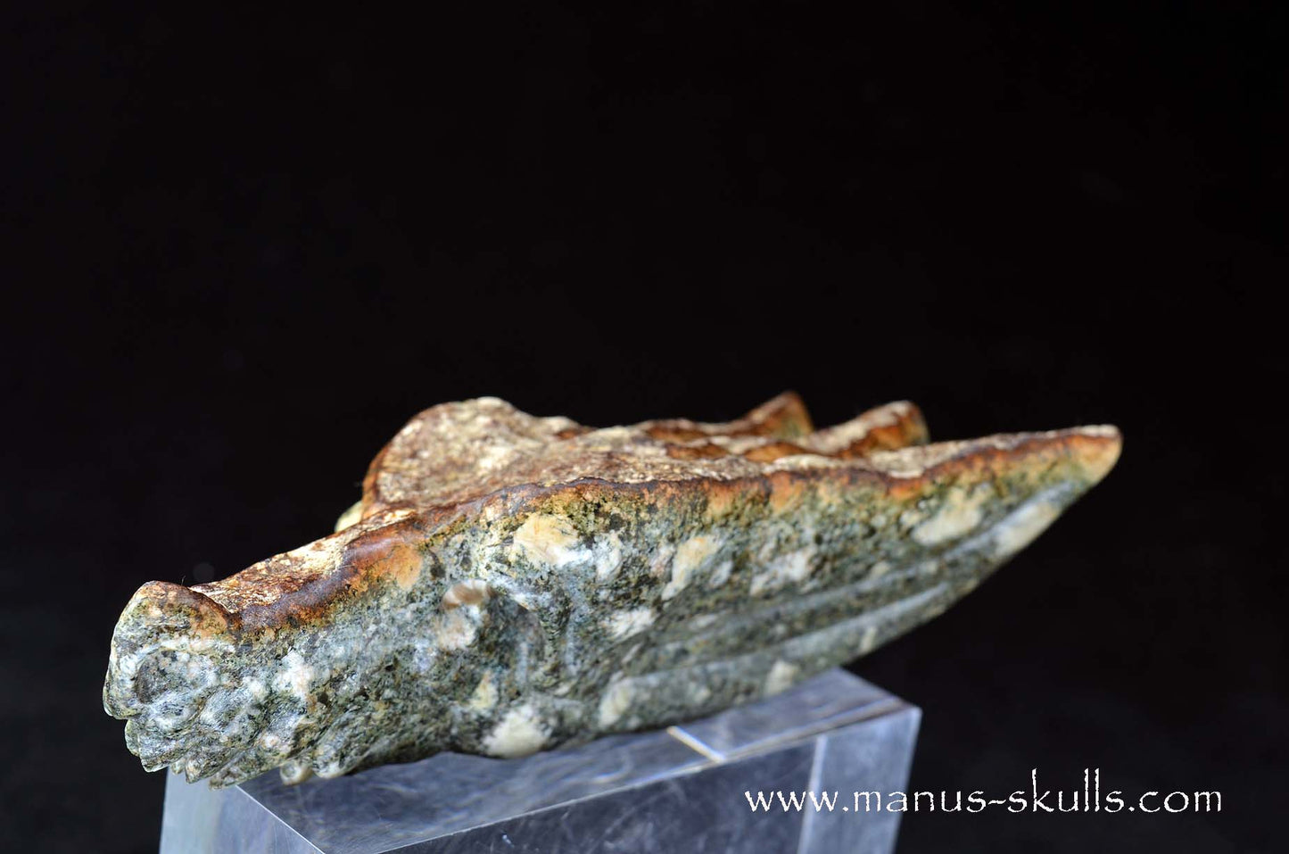 Preseli Bluestone Dragon