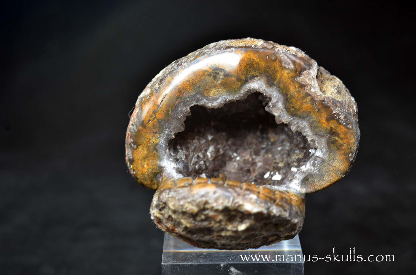Agate Geode Evolian #01