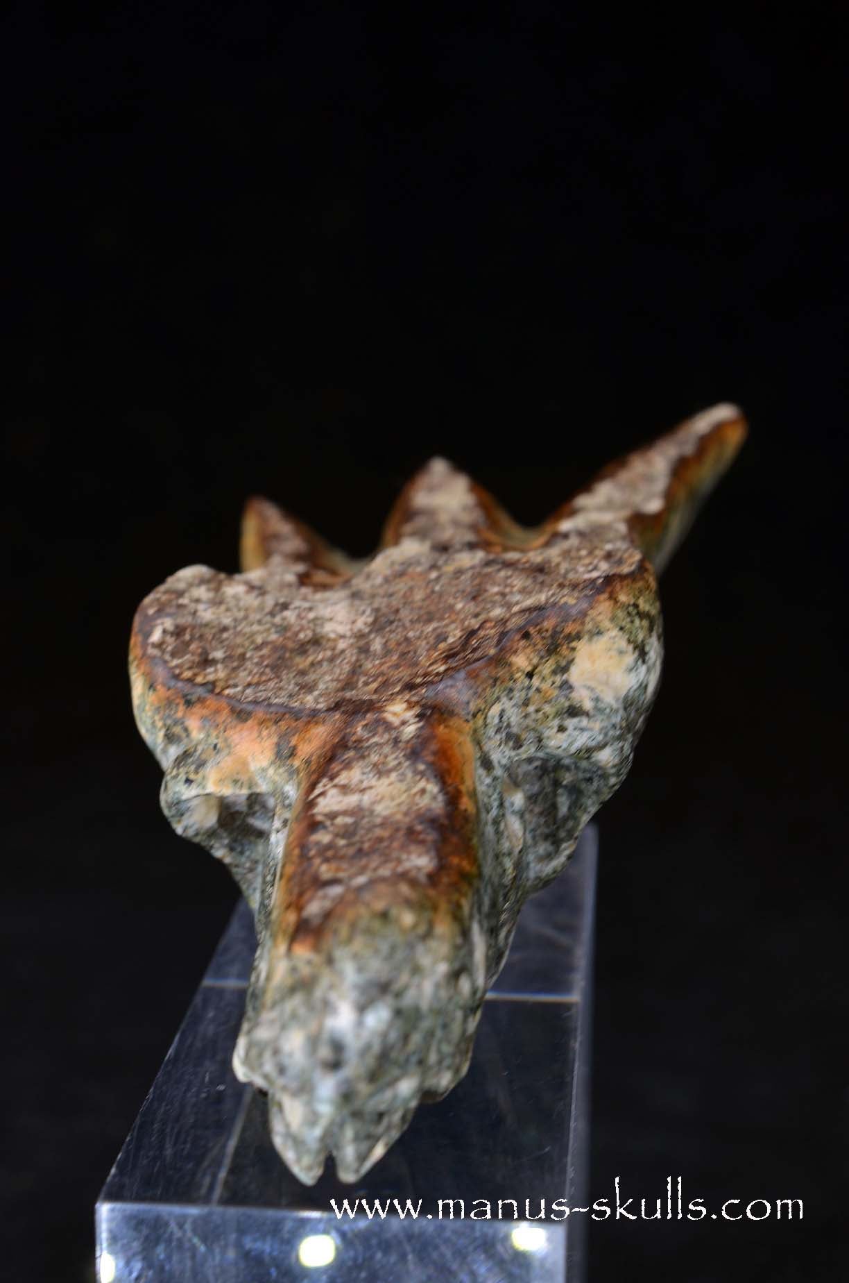 Manus skulls unique Crystal Carvings handmade skulls dragons pendants preseli bluestone tribals spiritual meaning wand Unicorn .. 