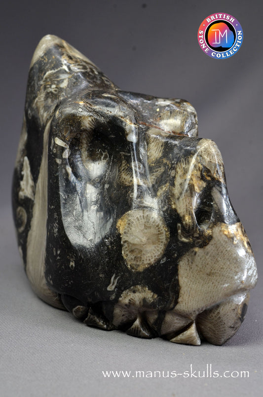 Frosterley Marble Dragon