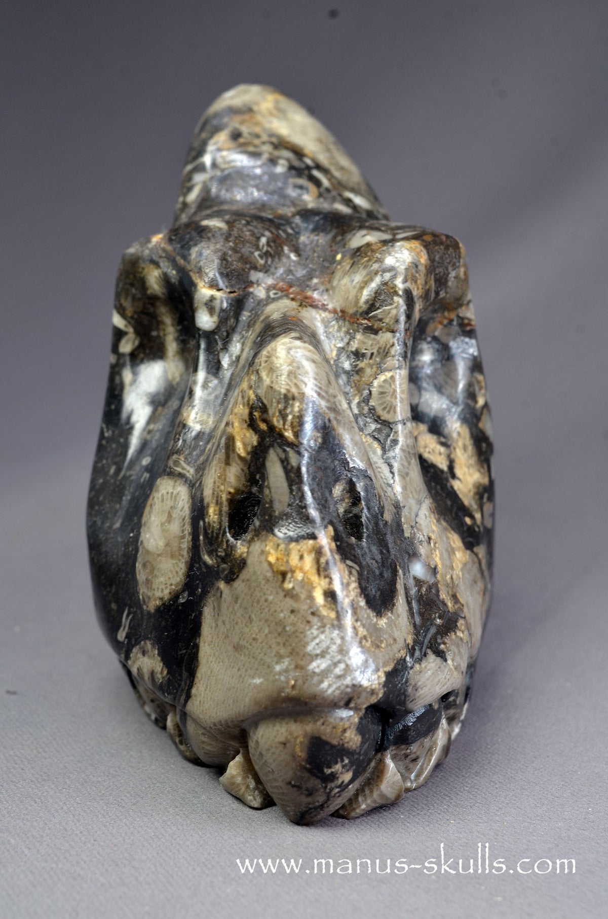 Frosterley Marble Dragon
