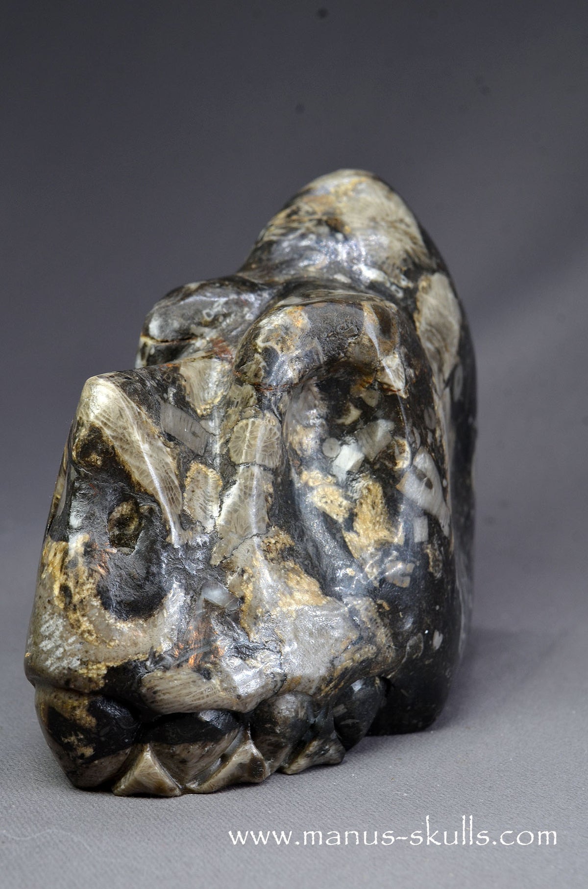 Frosterley Marble Dragon