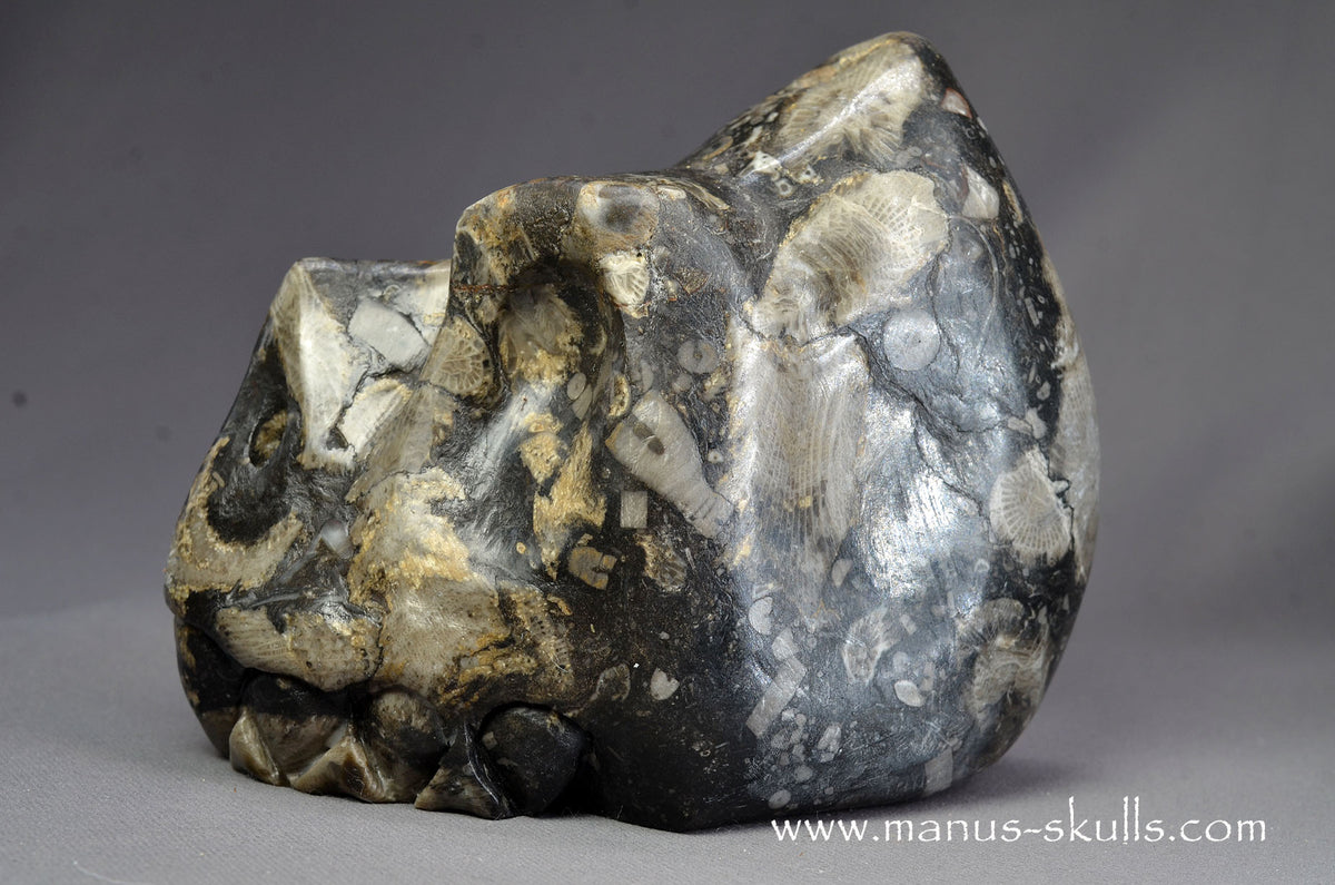 Frosterley Marble Dragon