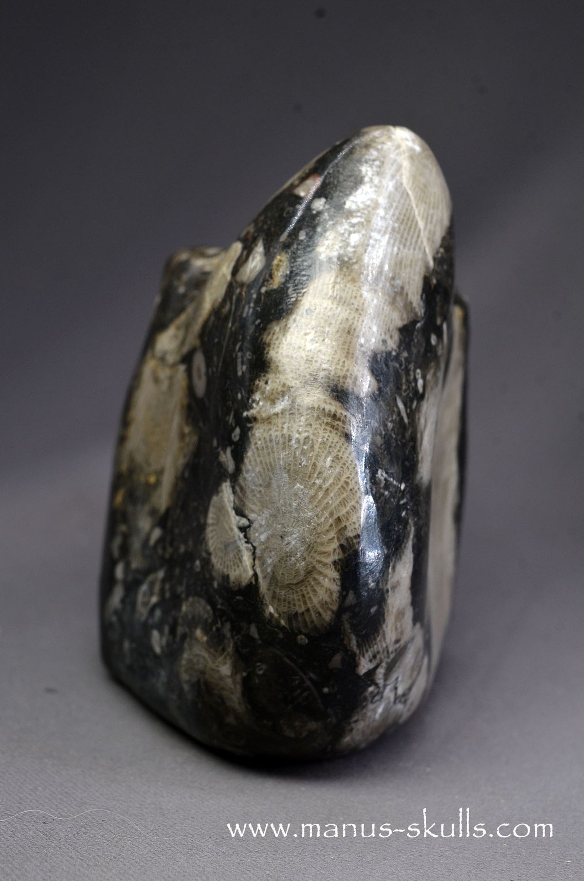 Frosterley Marble Dragon
