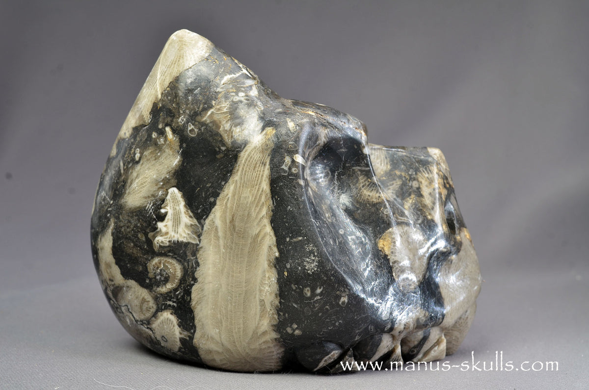 Frosterley Marble Dragon