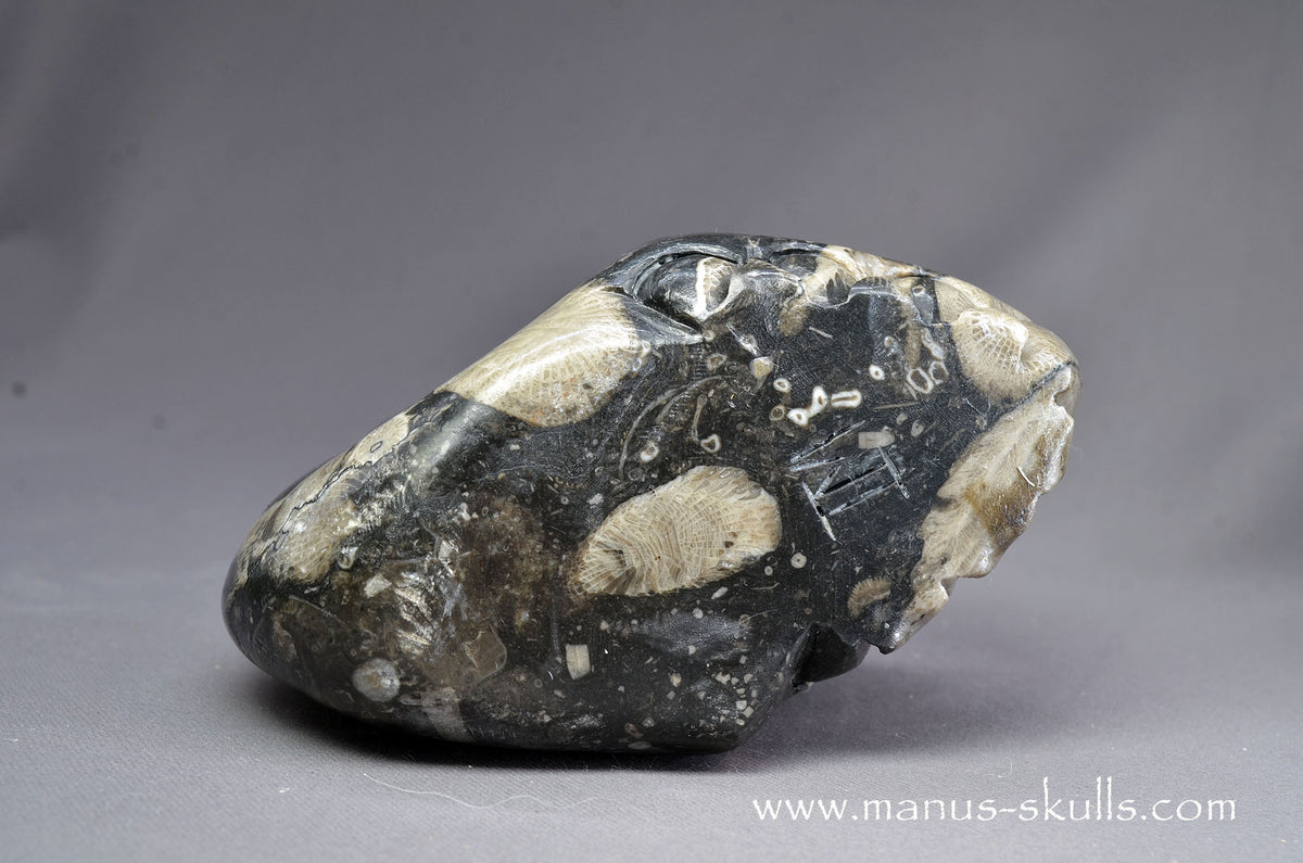 Frosterley Marble Dragon