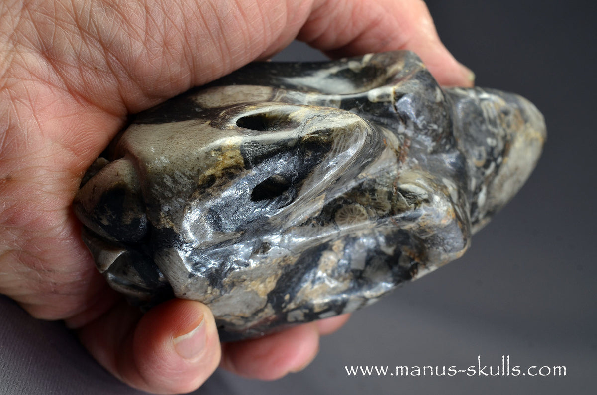 Frosterley Marble Dragon