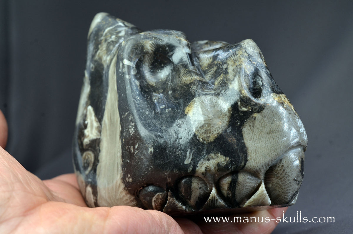 Frosterley Marble Dragon