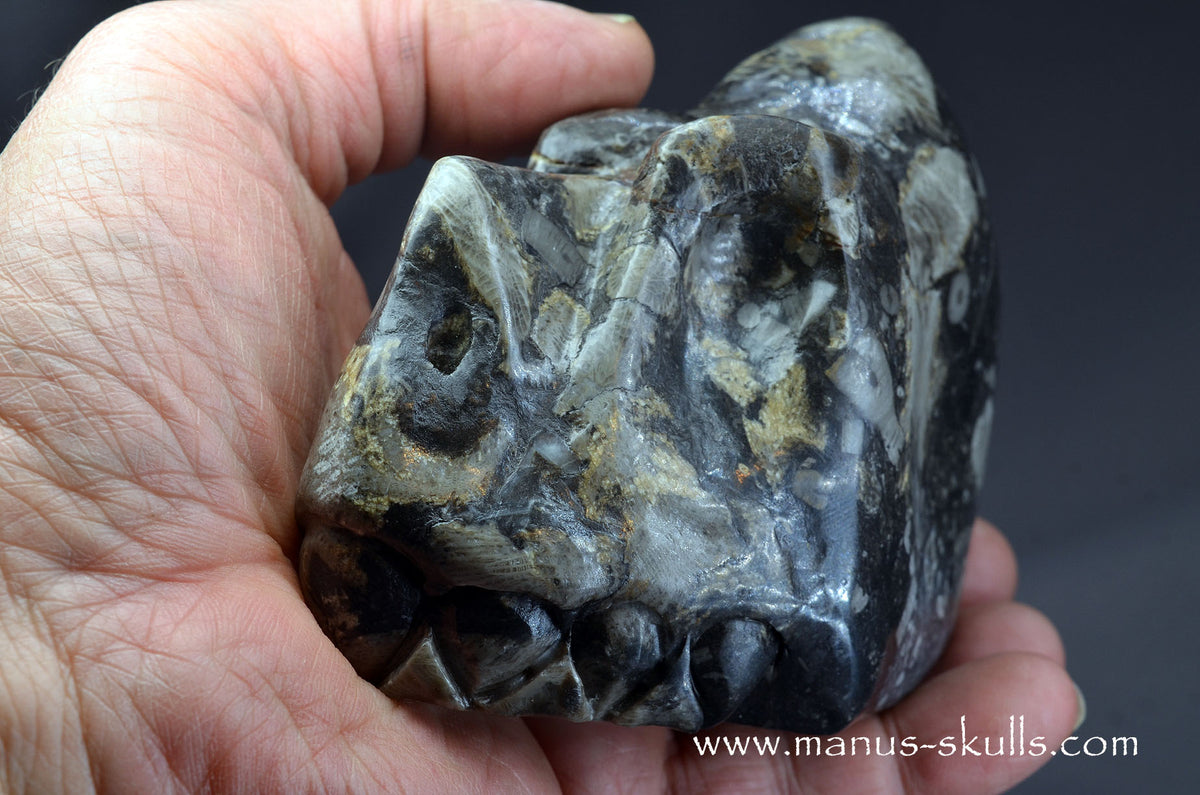 Frosterley Marble Dragon