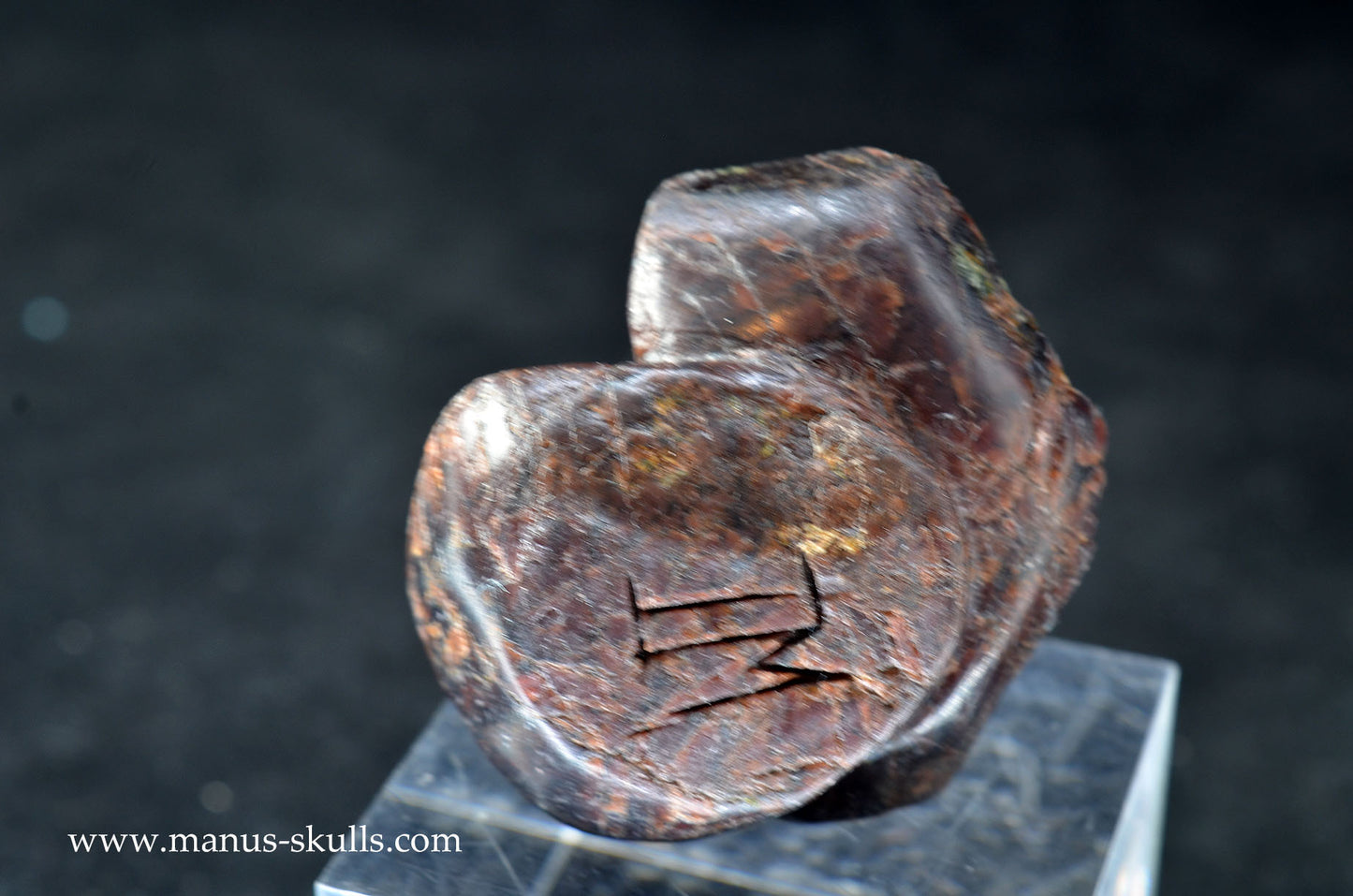 Garnet Evolian #01