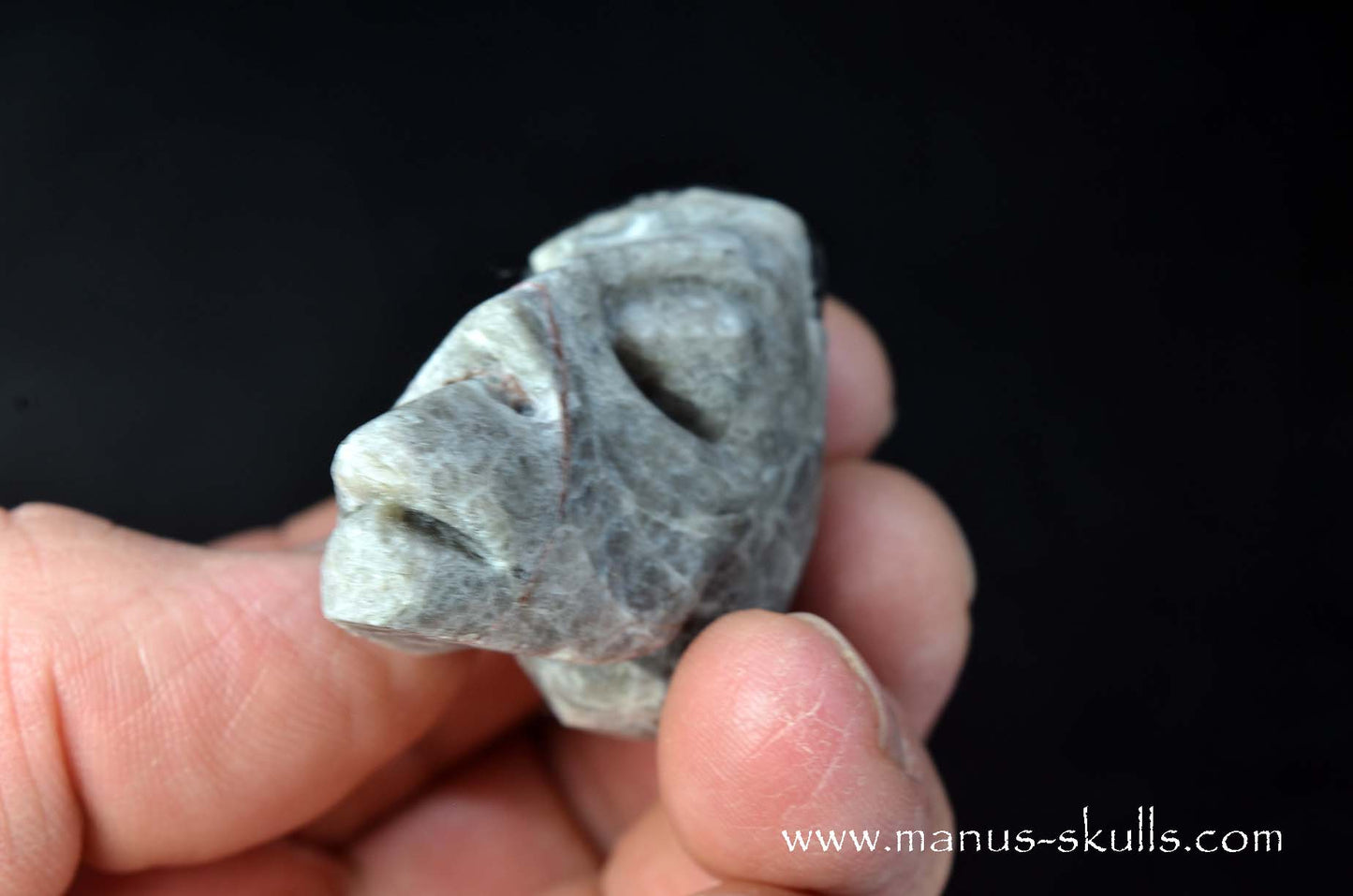 Apache Tears Obsidian on Matrix Skull #2