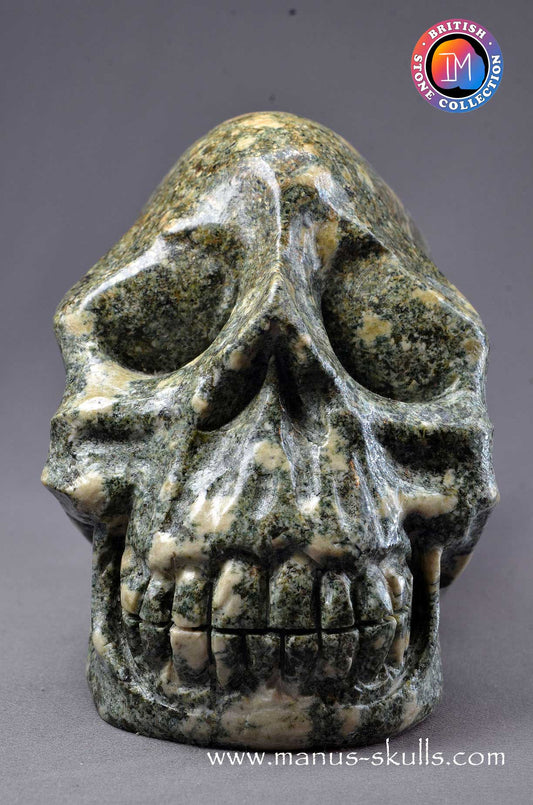 Preseli Bluestone Skull