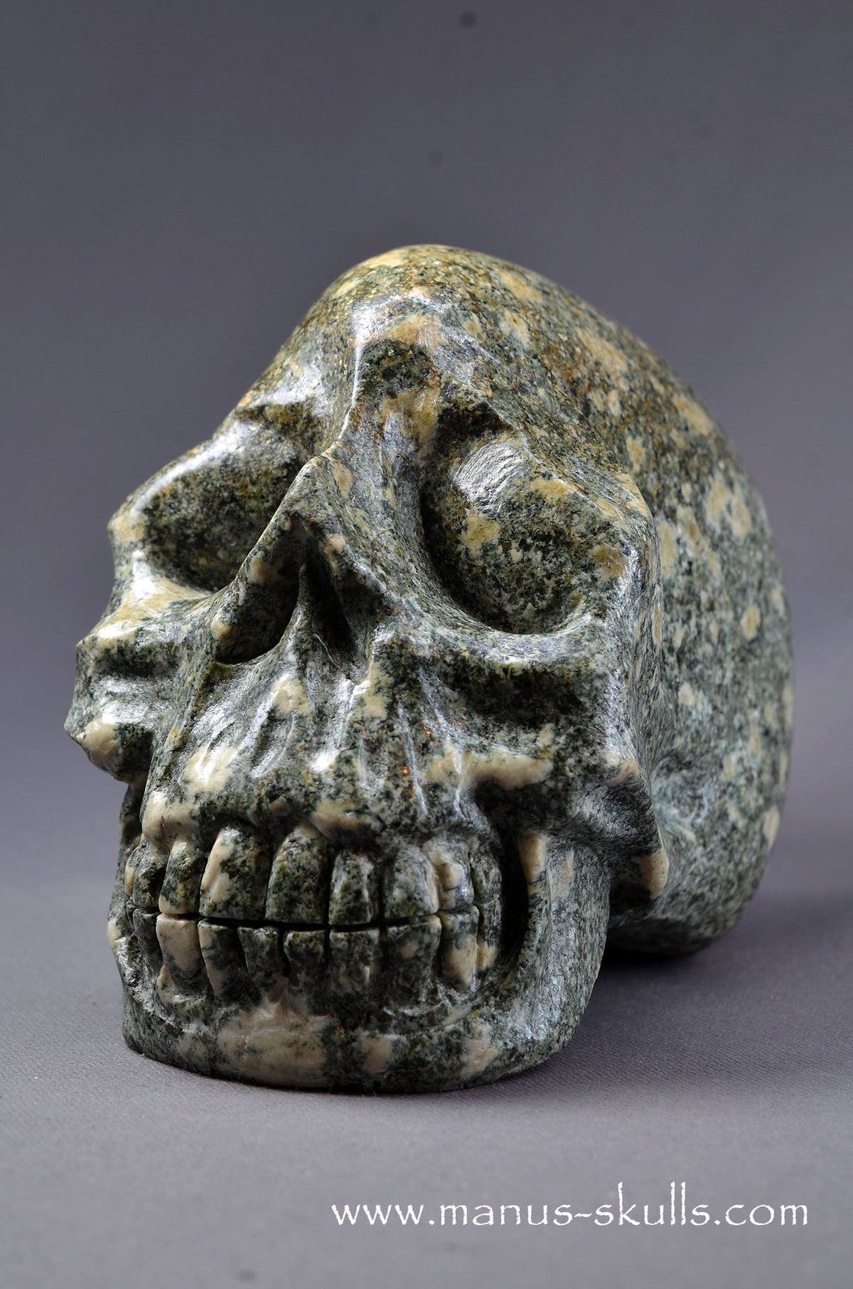 Preseli Bluestone Skull