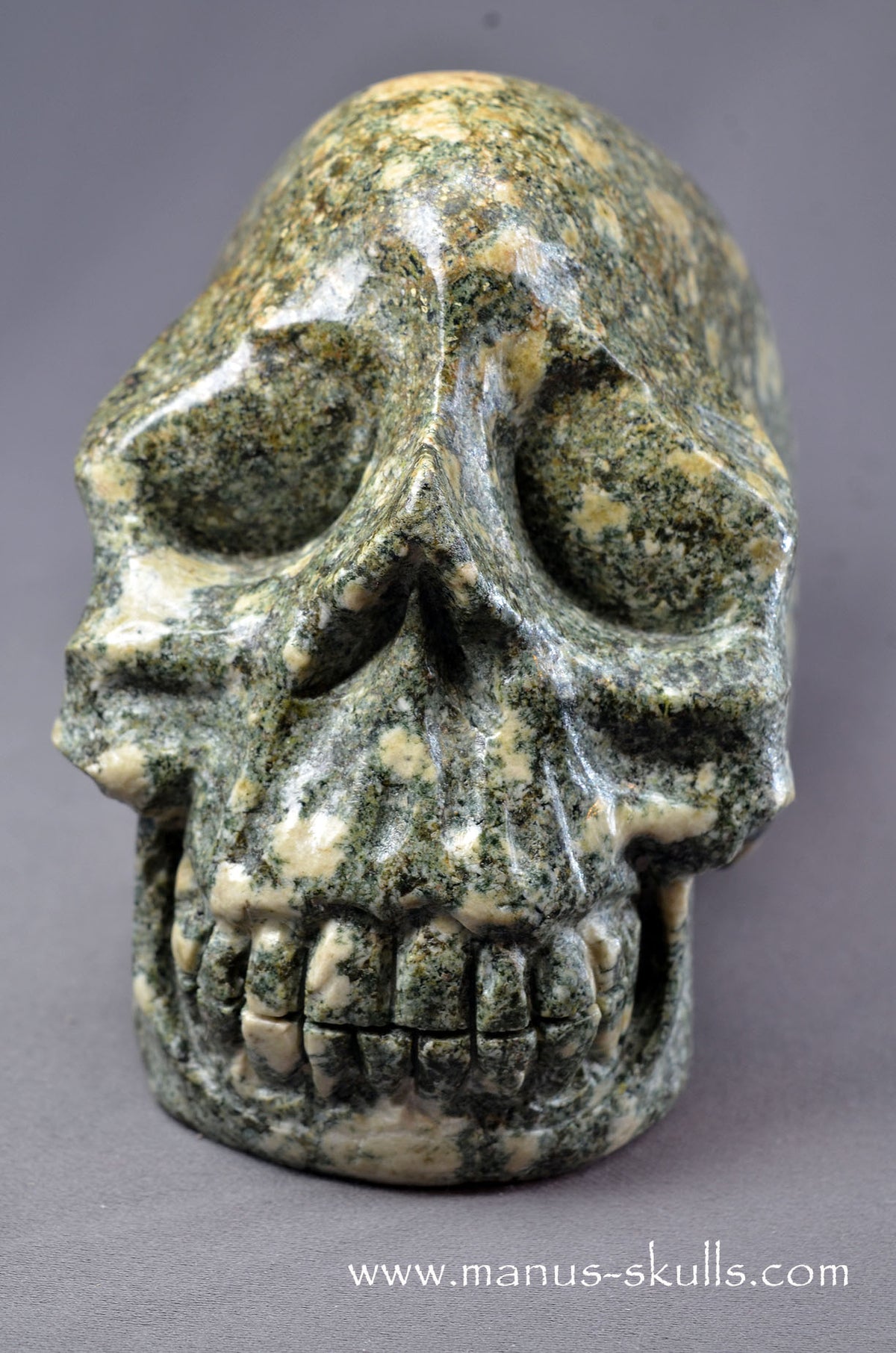 Preseli Bluestone Skull
