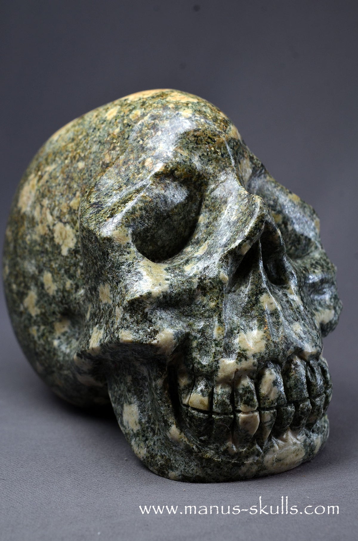 Preseli Bluestone Skull