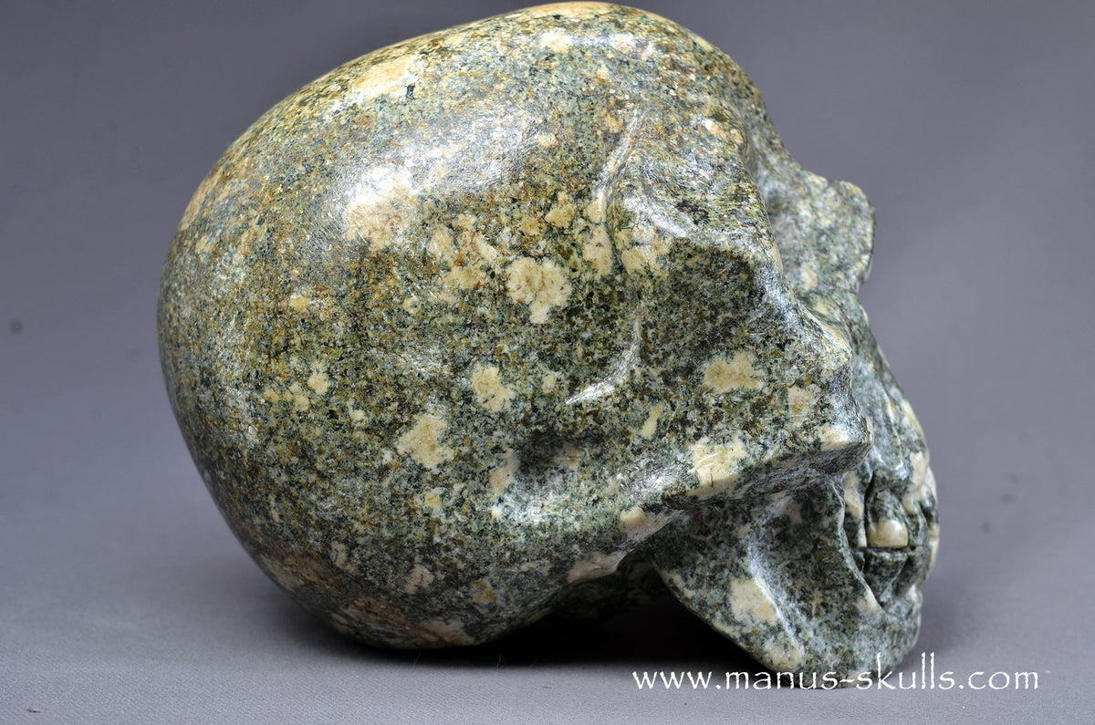 Preseli Bluestone Skull