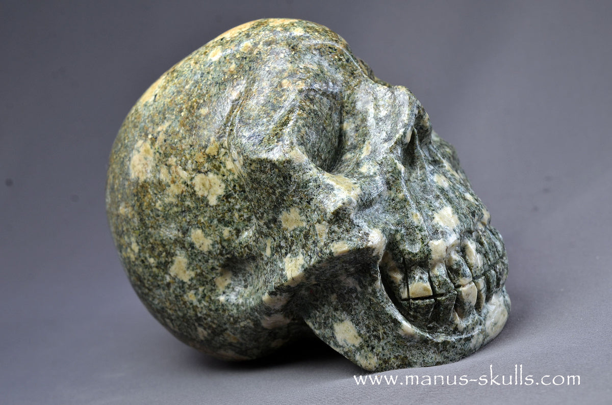 Preseli Bluestone Skull