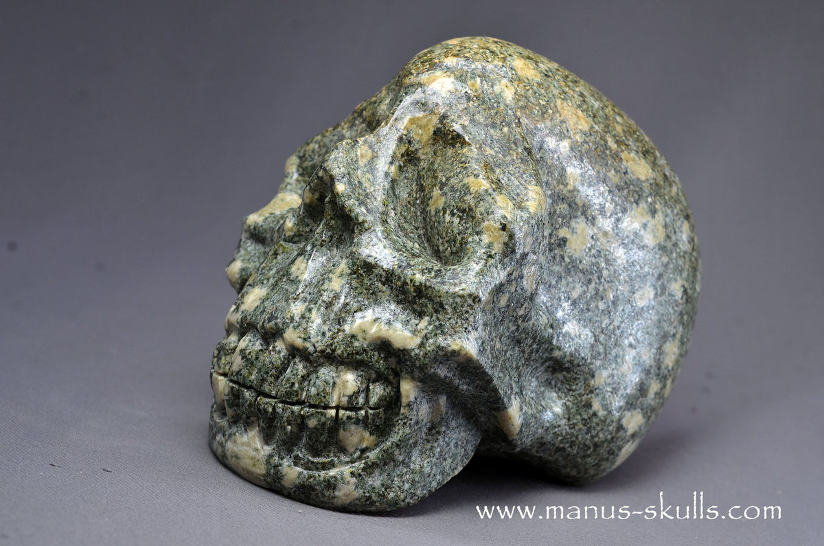 Preseli Bluestone Skull