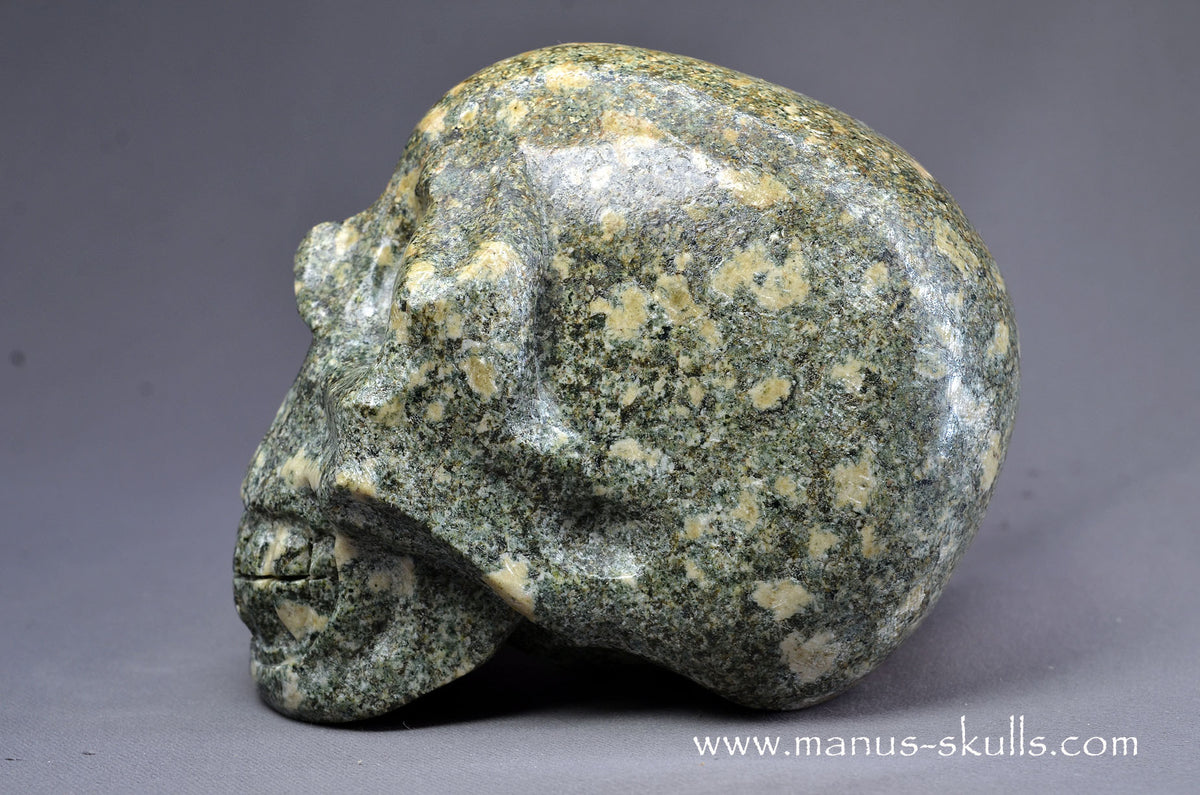 Preseli Bluestone Skull