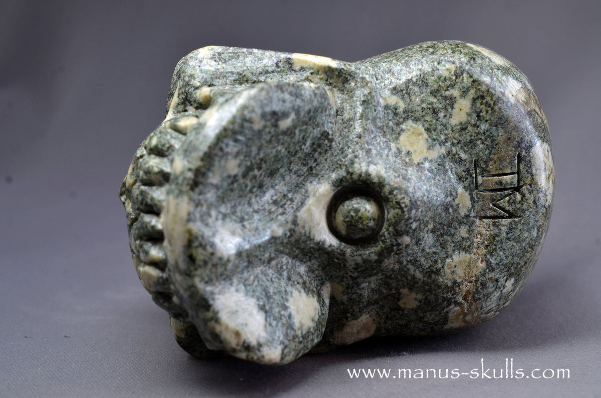 Preseli Bluestone Skull