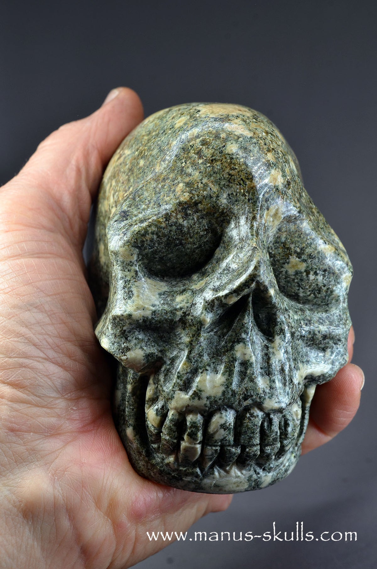 Preseli Bluestone Skull