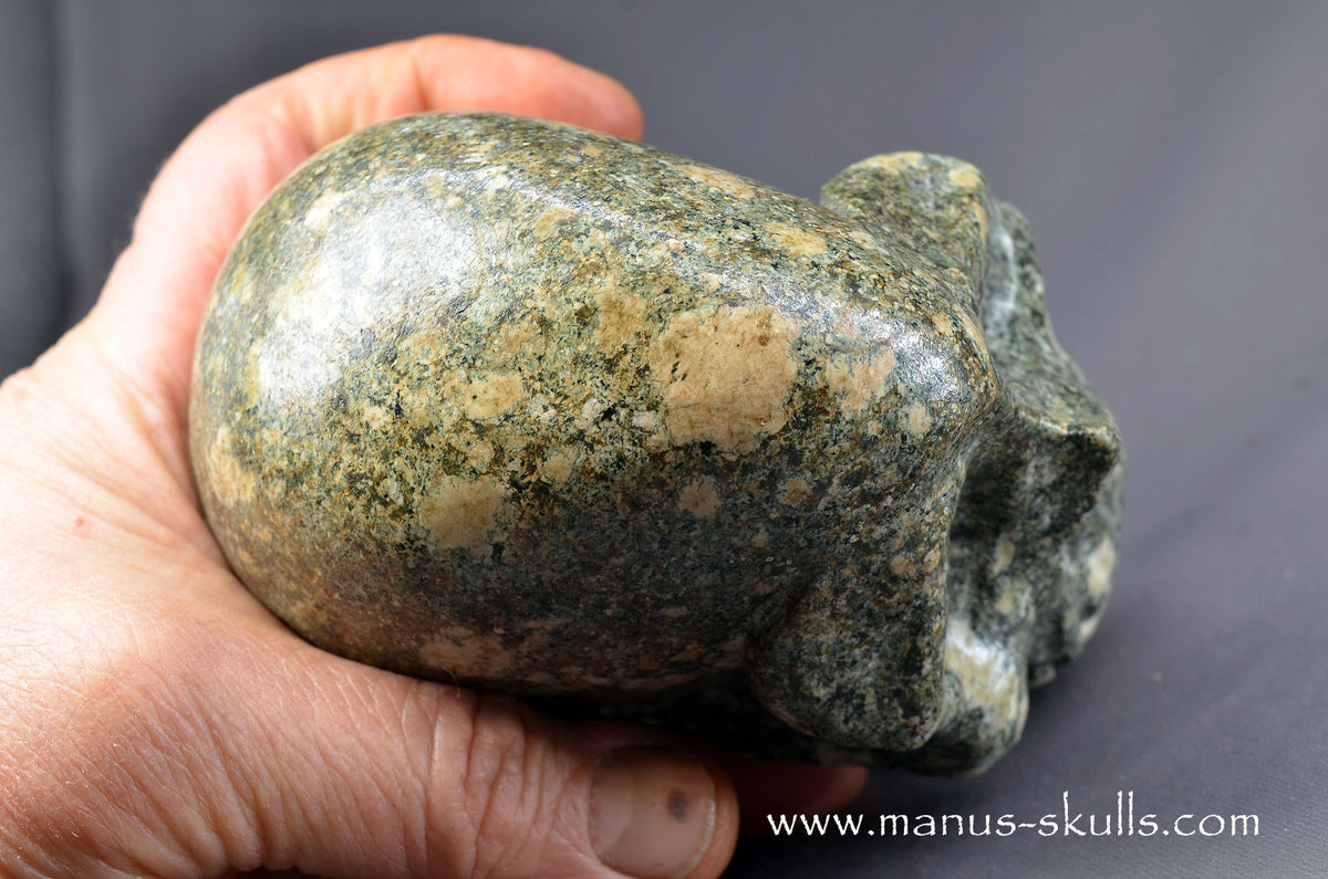 Preseli Bluestone Skull