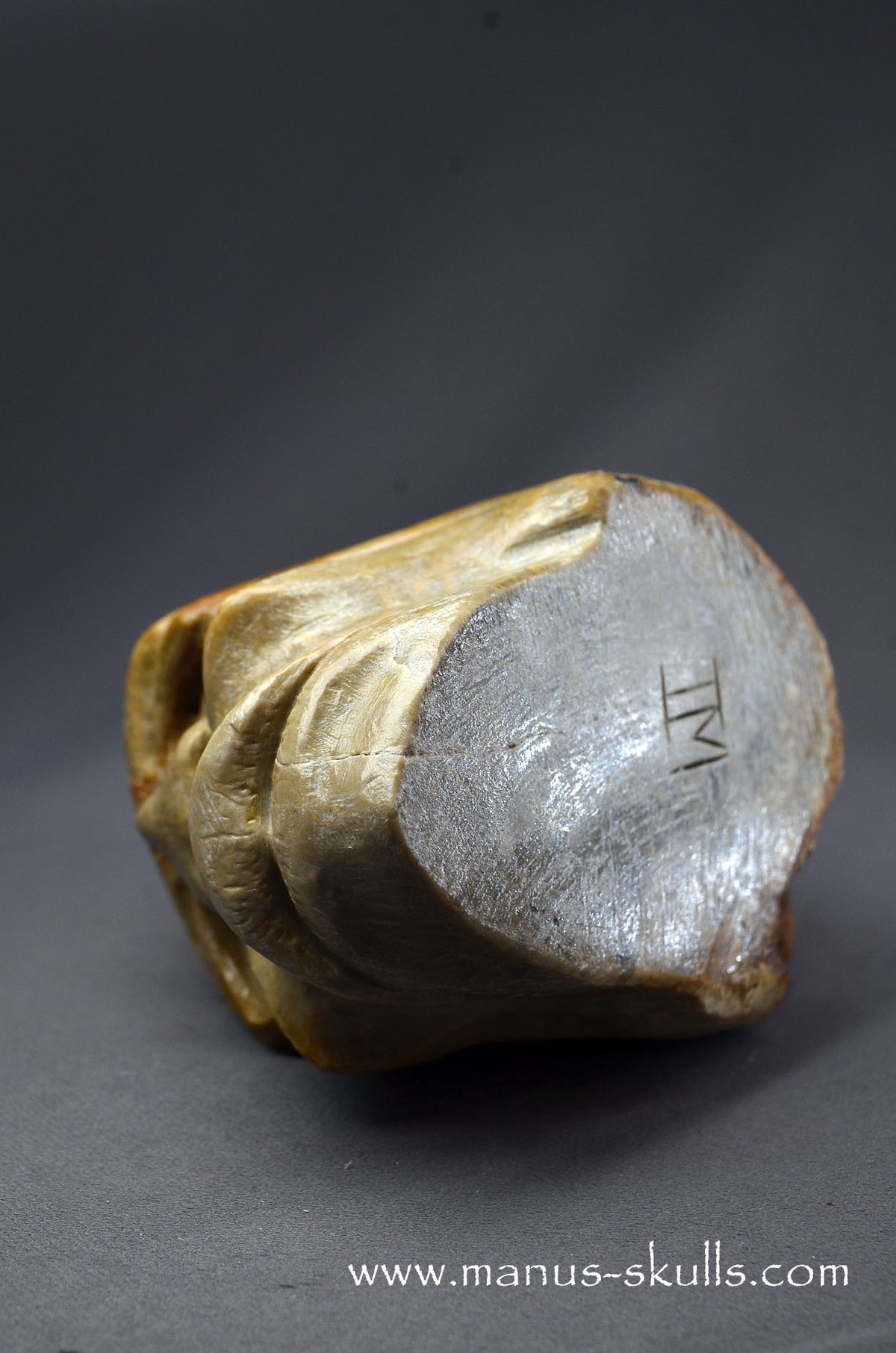 Sarsen Stone Face