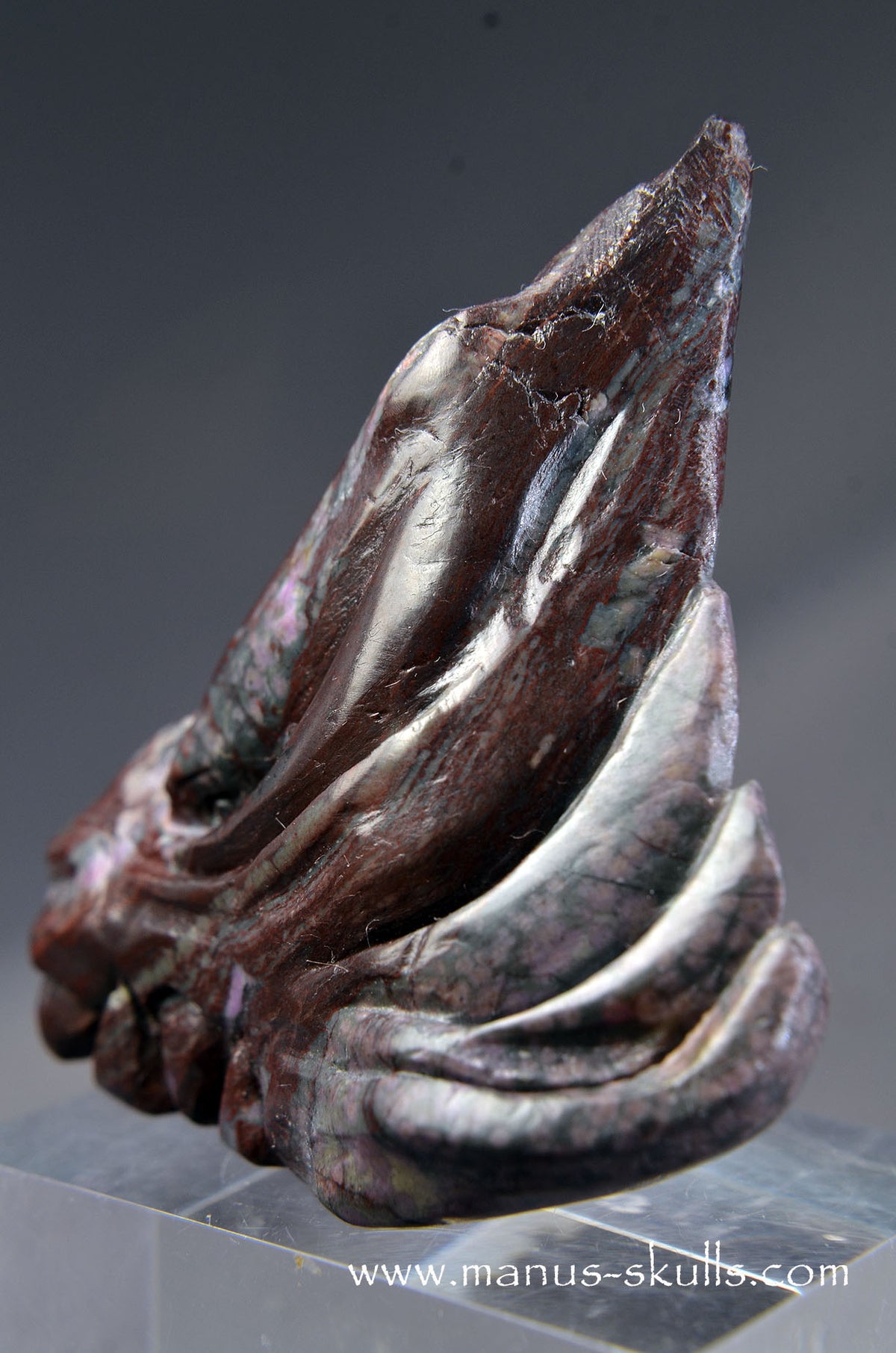 Sugilite Dragon