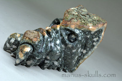 Large Preseli Bluestone Skull.