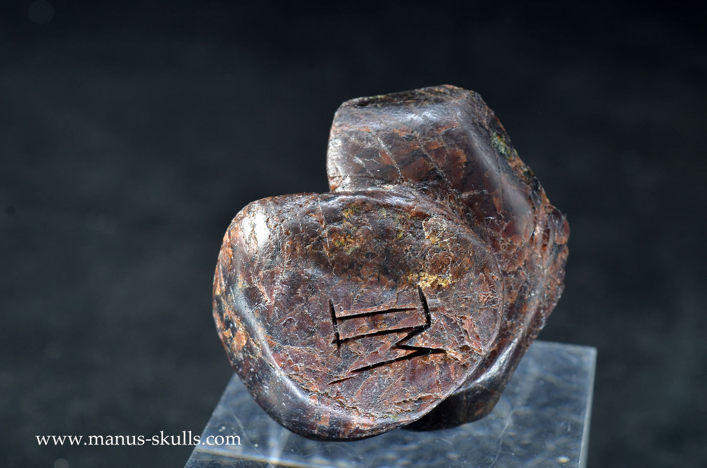 Garnet Evolian #01