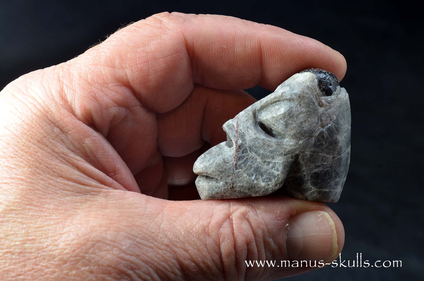 Apache Tears Obsidian on Matrix Skull #2