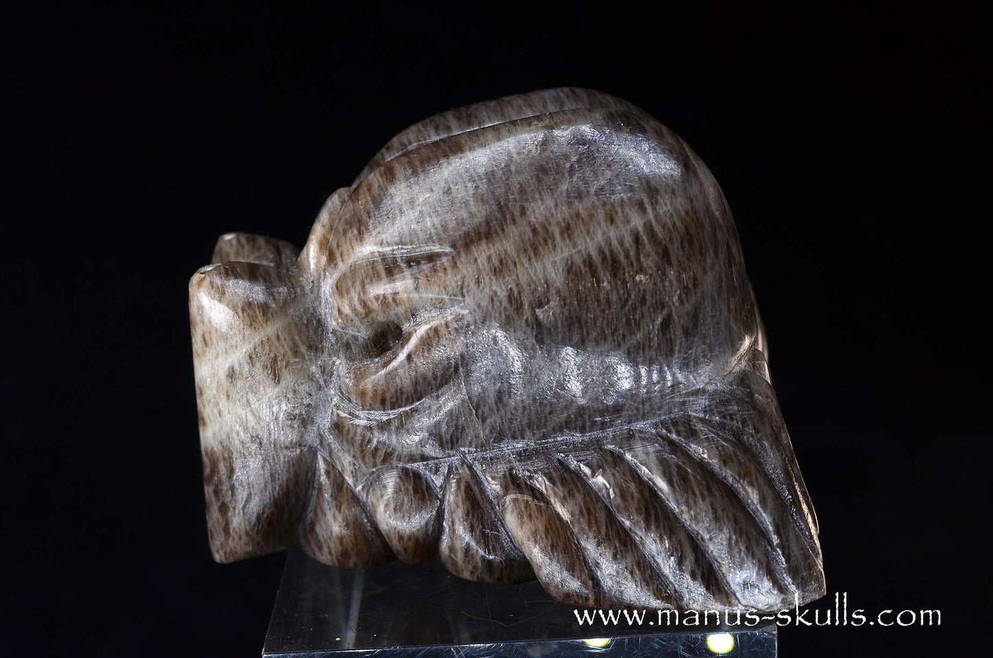 Black Greenland Moonstone ~ Seal Stone Dragon
