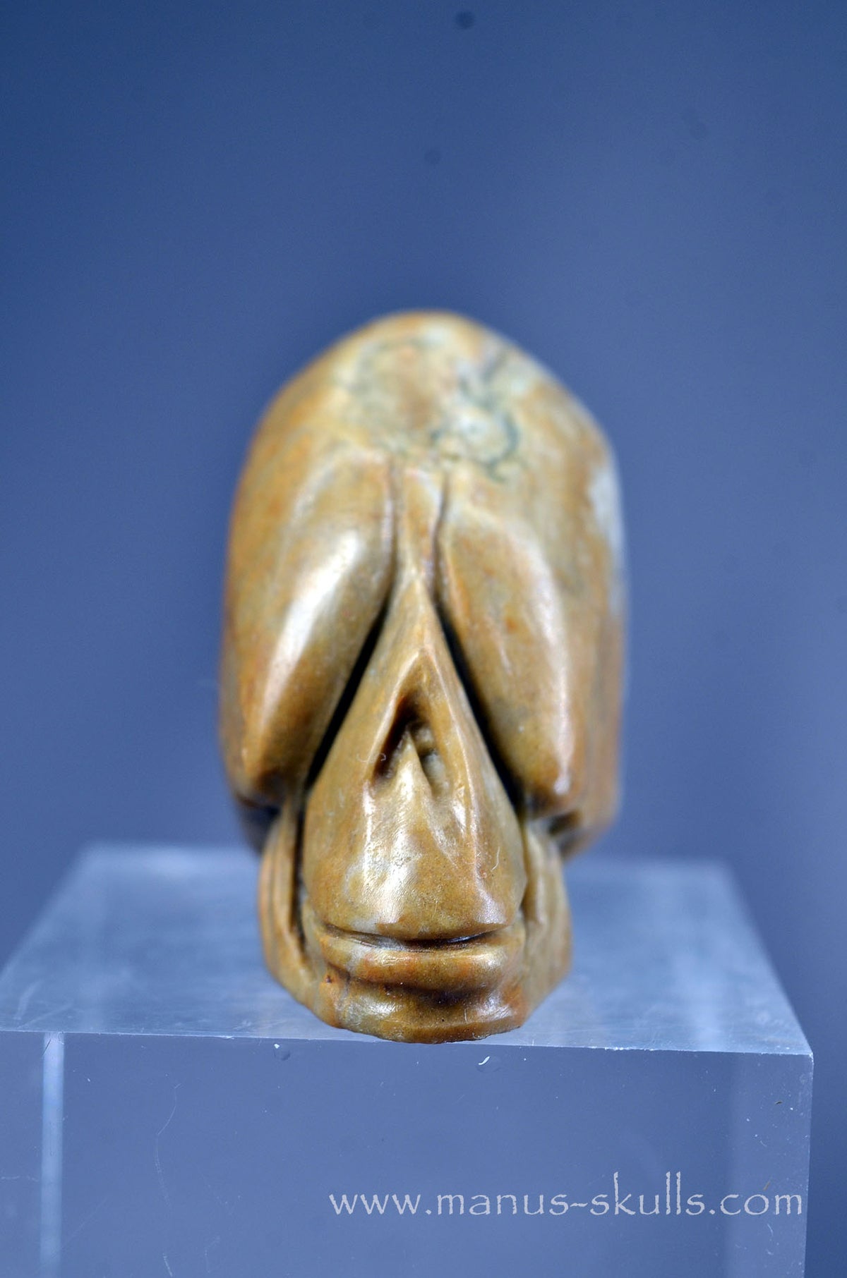Sarsen Stone Skull