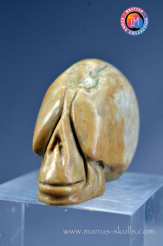 Sarsen Stone Skull