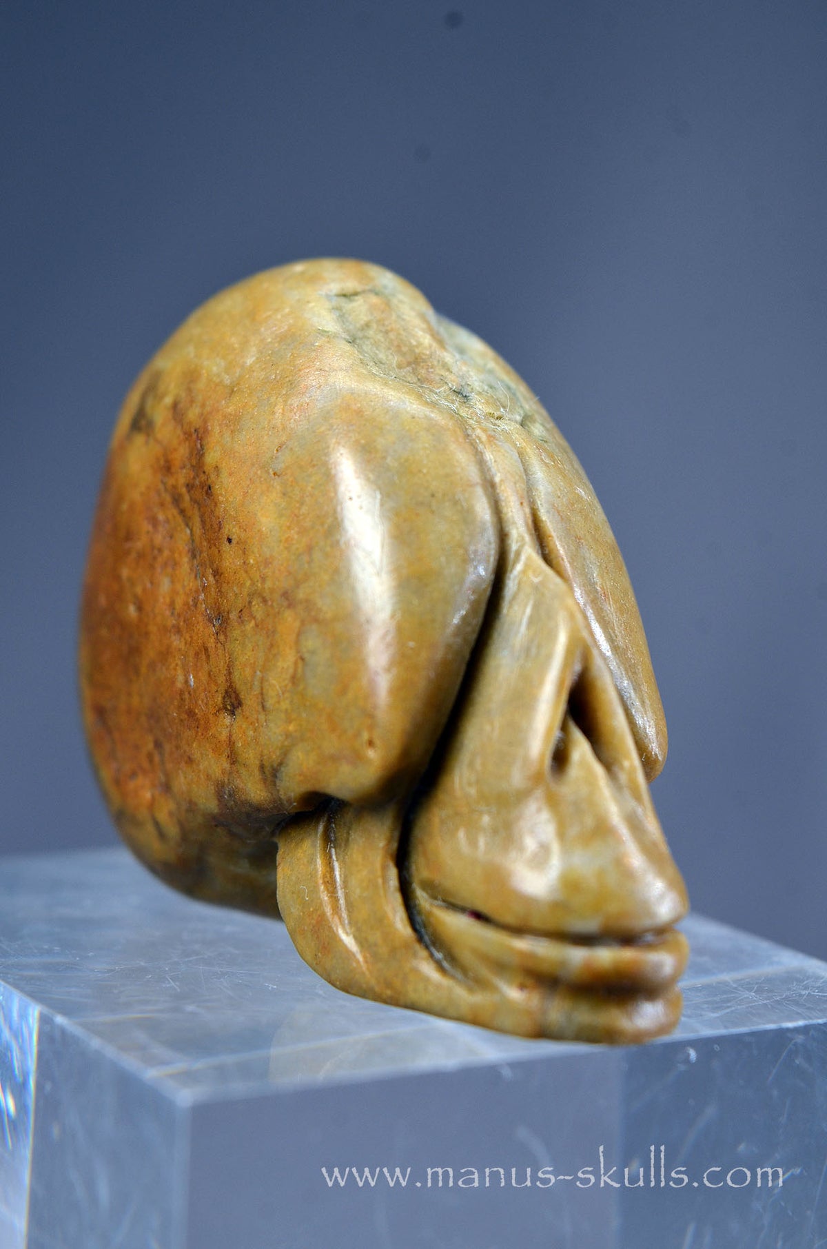 Sarsen Stone Skull