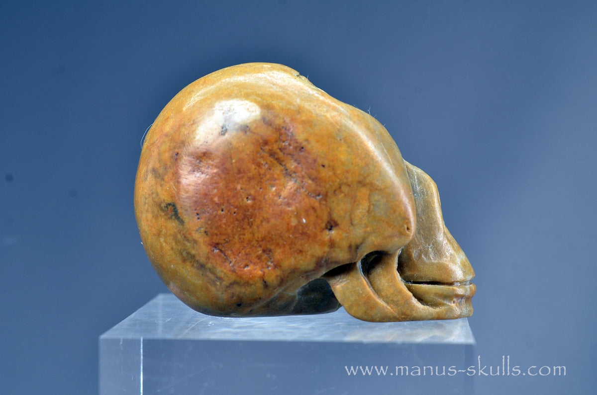 Sarsen Stone Skull