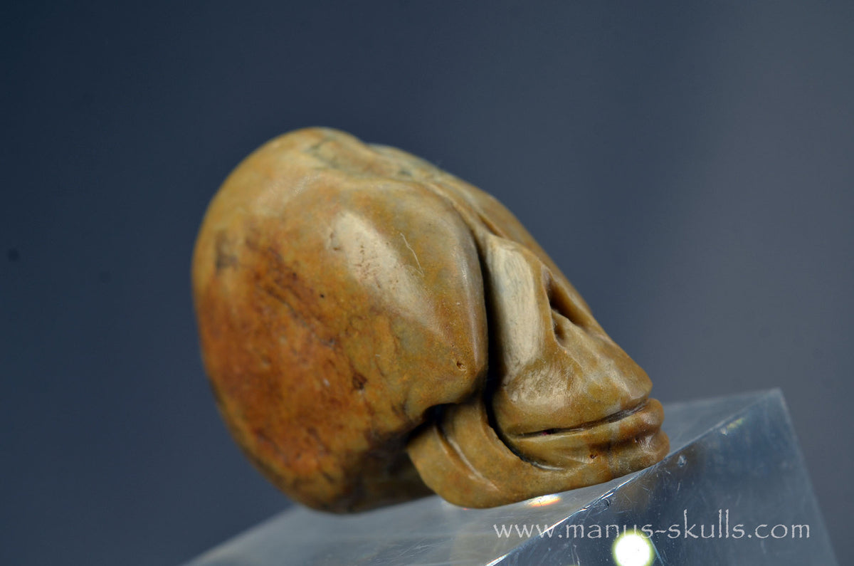 Sarsen Stone Skull