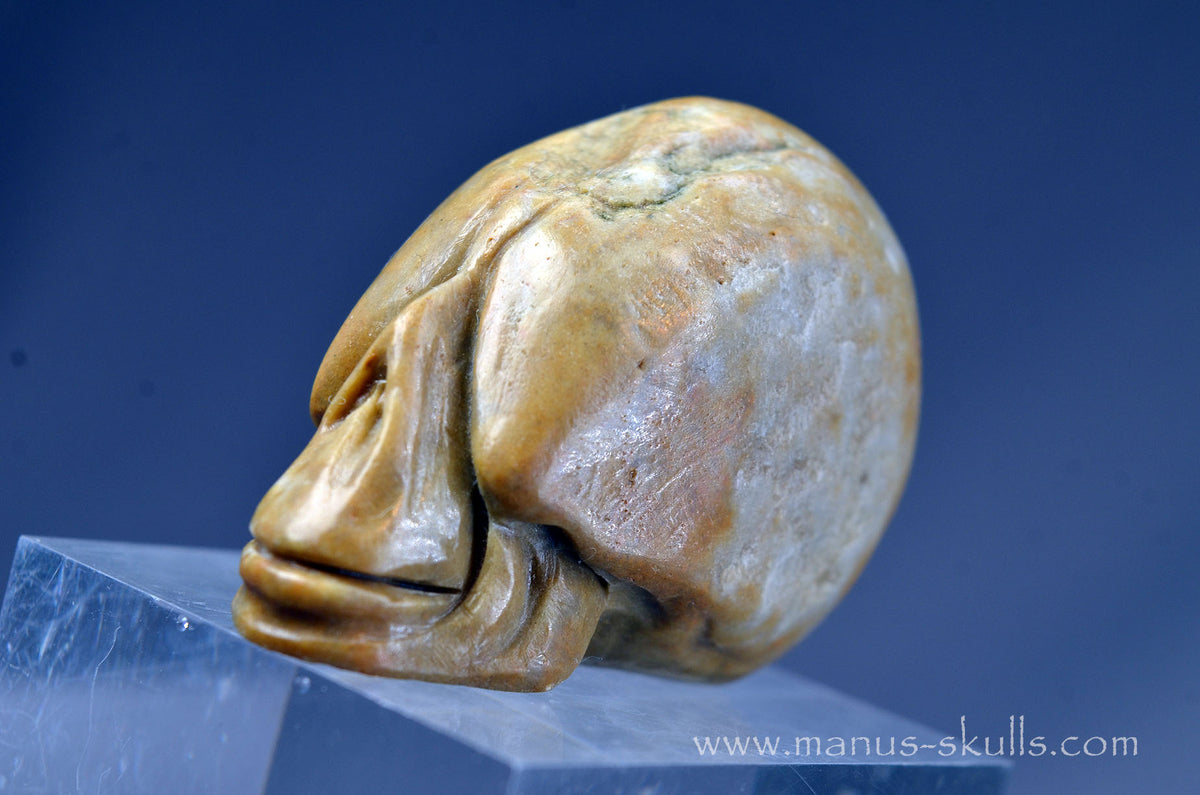 Sarsen Stone Skull